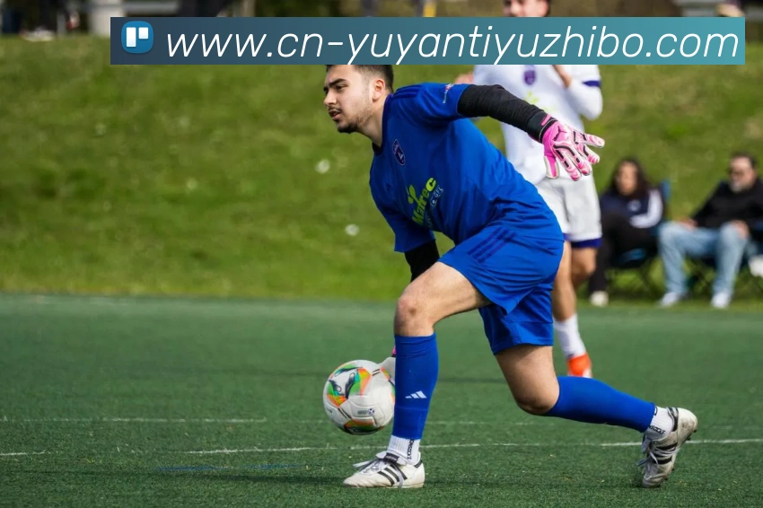 App Interface Preview