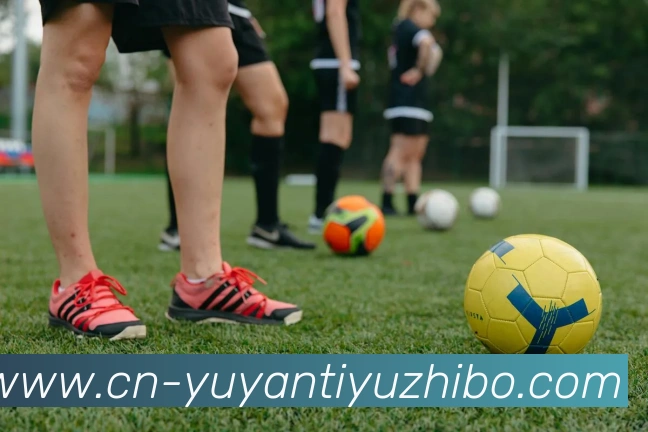 雨燕体育直播APP 体育赛事宣传图